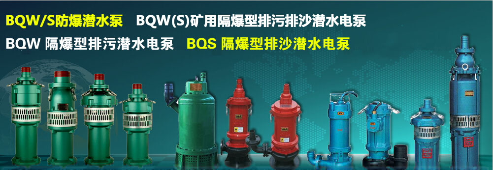 BQW(S)�V用隔爆型排污排沙��水�泵